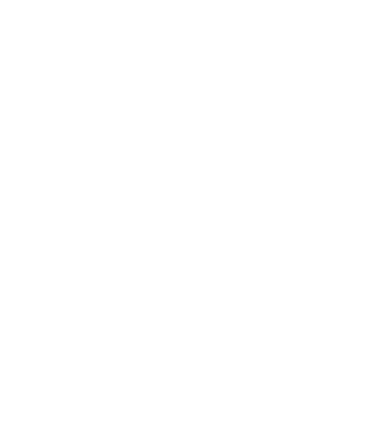 Cámara de Industria y Comercio del Mercosur y las Américas